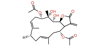 Michaolide K